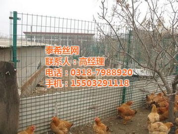 安平泰希丝网 一网一世界，匠心守护家的每一道防线